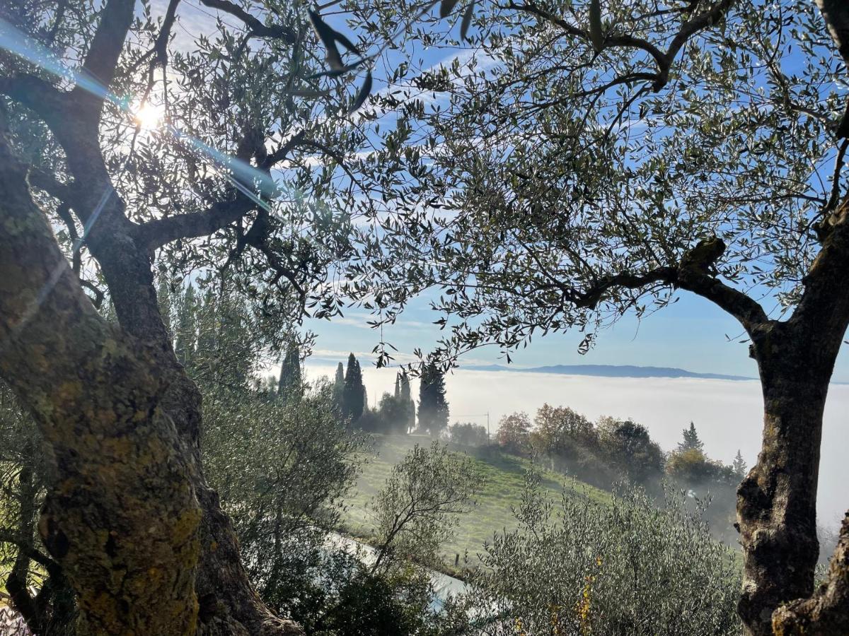 Country House Art And Garden Monte Antico Dış mekan fotoğraf