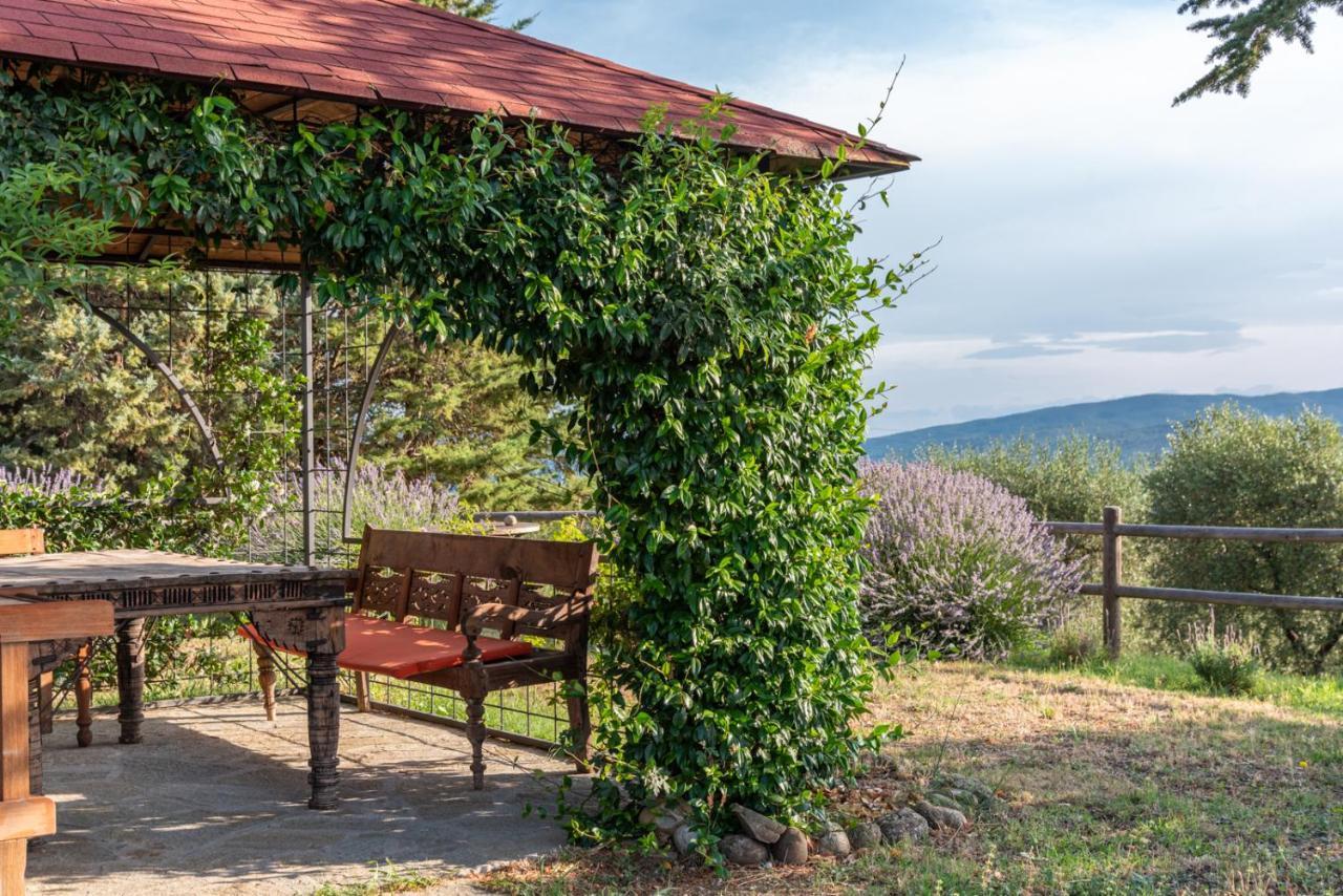 Country House Art And Garden Monte Antico Dış mekan fotoğraf